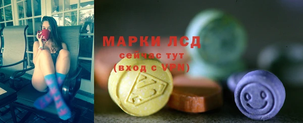 сатива Карталы