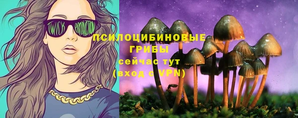 сатива Карталы