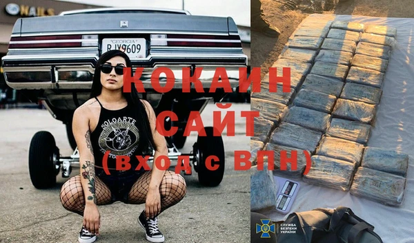 сатива Карталы